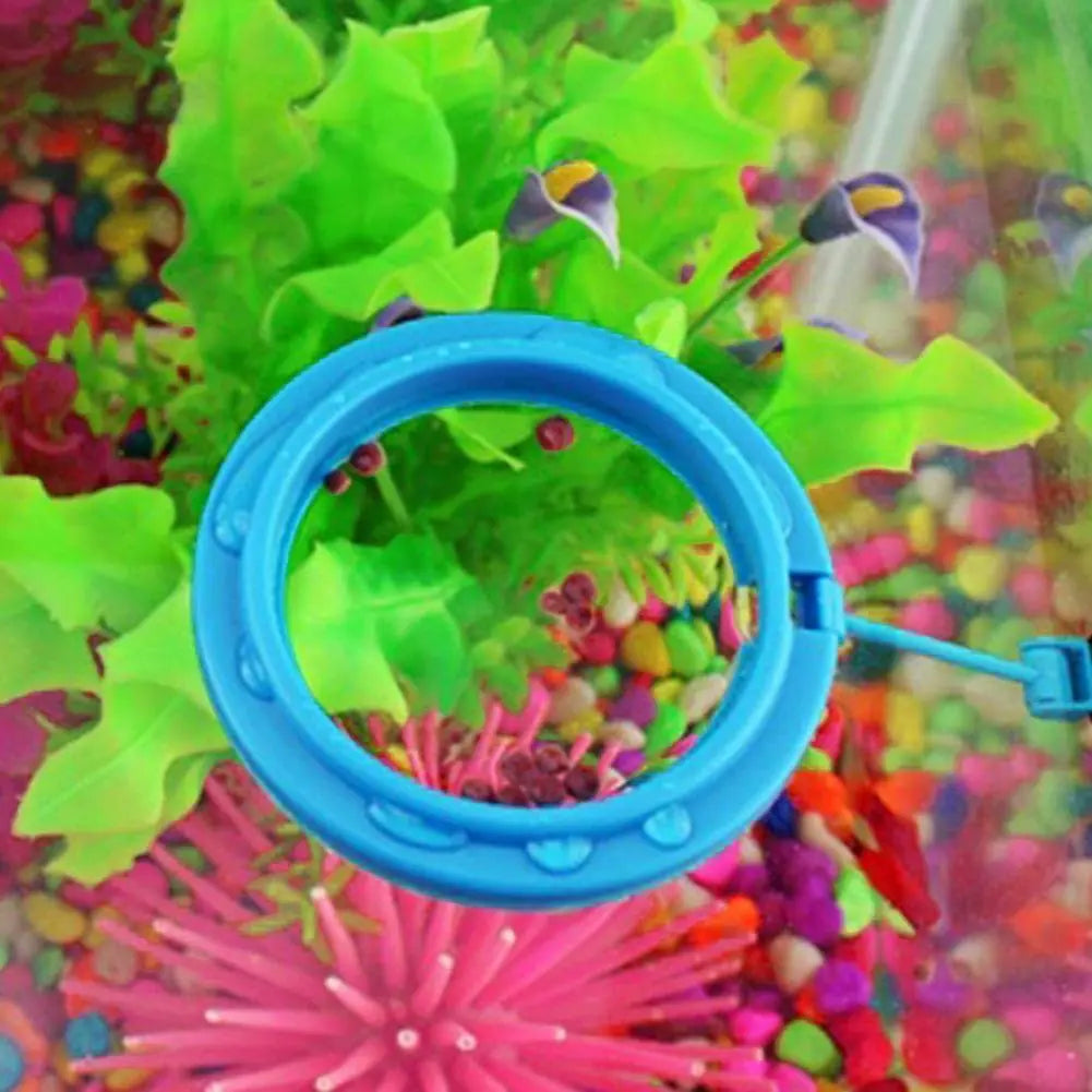 Fish Food Feeding Ring