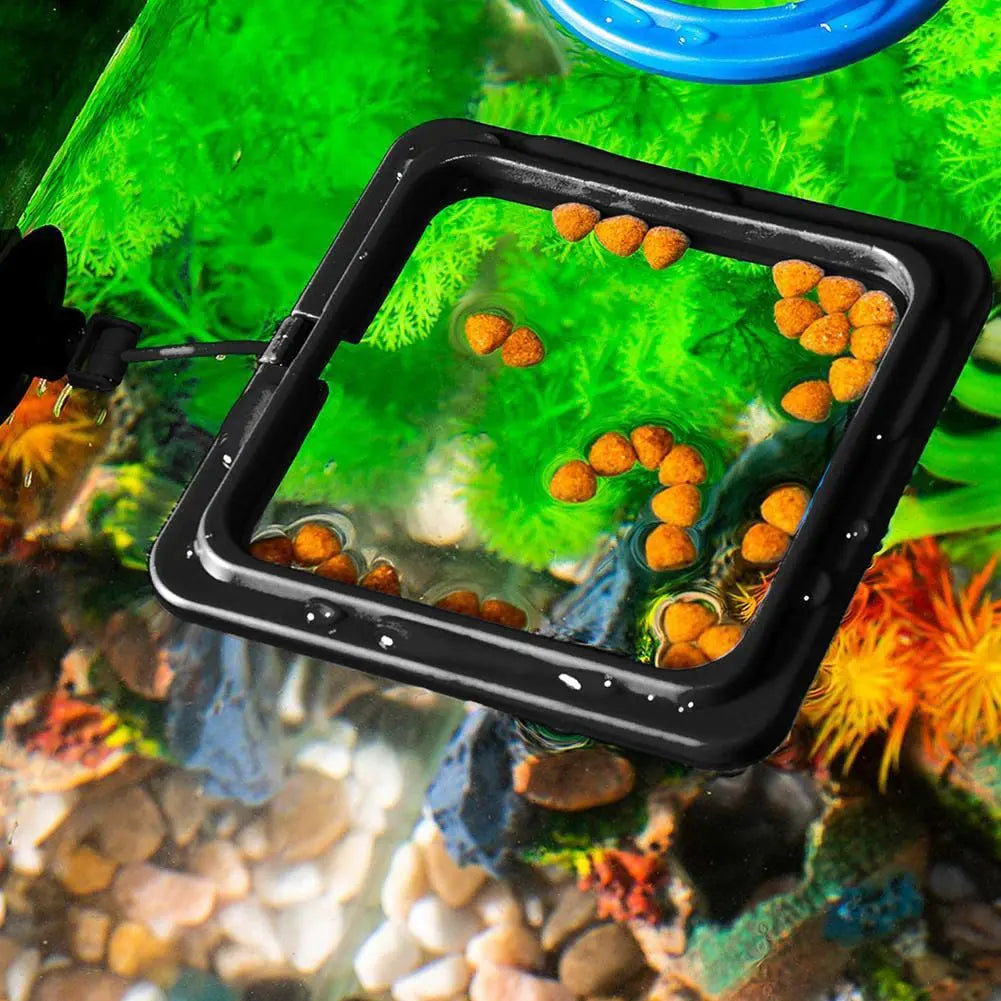 Fish Food Feeding Ring